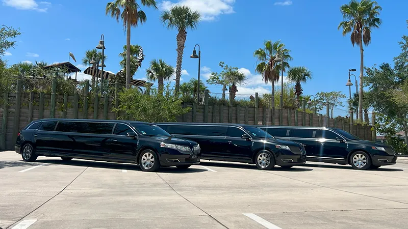 Cruise Terminal transportation 1 disney world limo service 800w