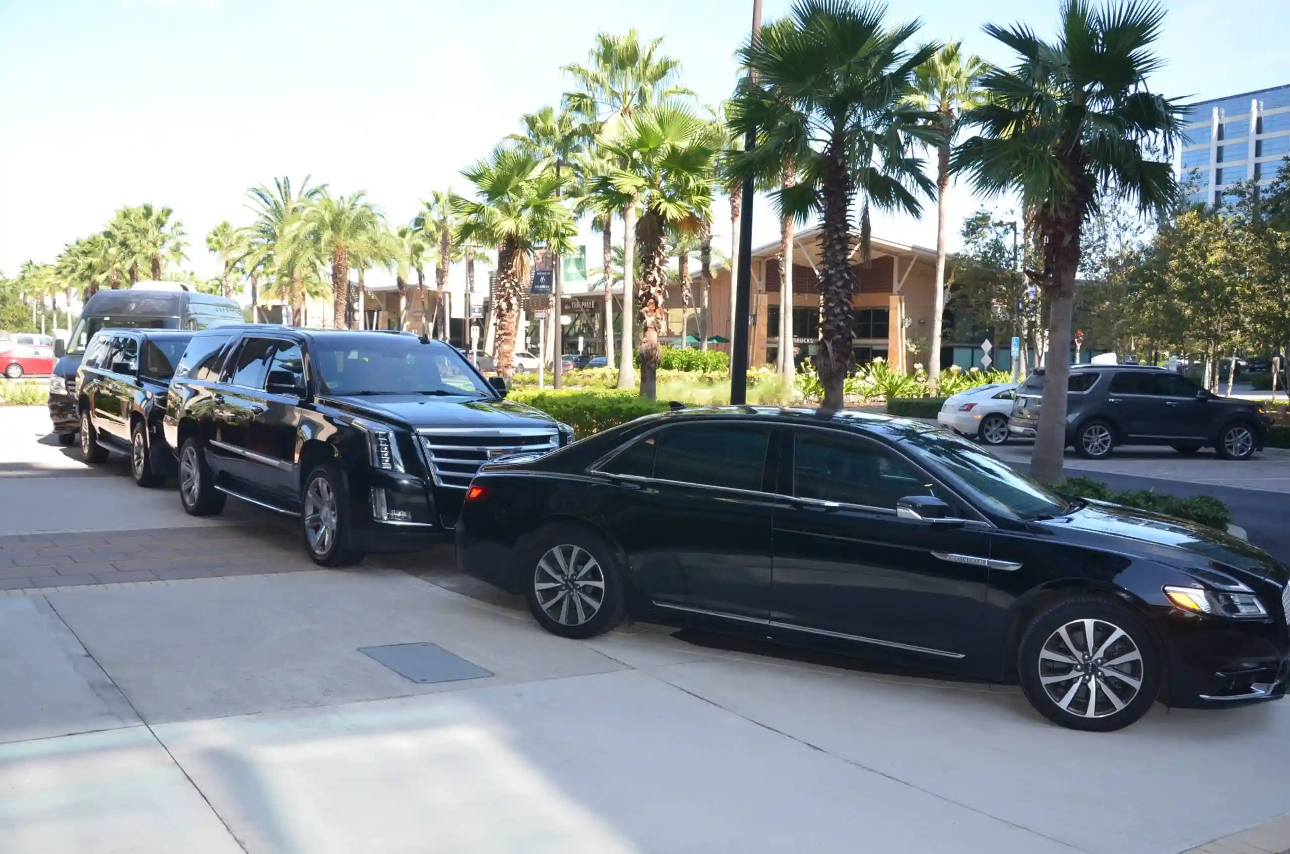 Celebration fl Limo Service
